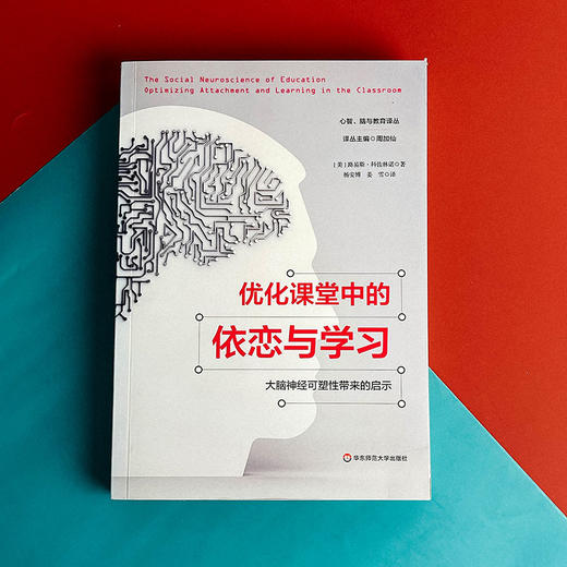 优化课堂中的依恋与学习 儿童教育 大脑神经可塑性带来的启示  心智 脑与教育译丛 商品图1