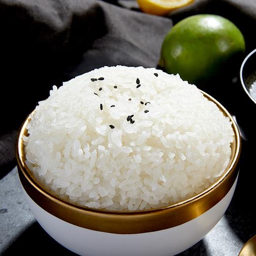 北大荒｜金老农五常鲜稻米5kg 商品图1