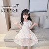 夏季新款中大童提花连衣裙薄款女童宝宝可爱裙子夏季女孩卡通公主裙聚 商品缩略图3