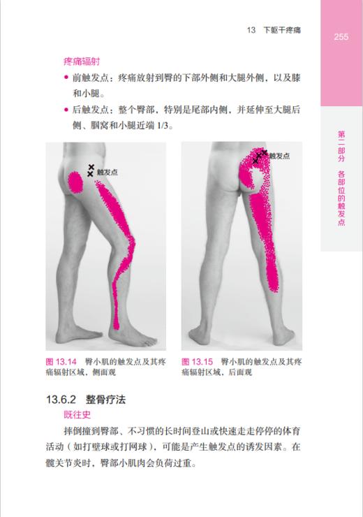 肌筋膜触发点治疗图解（第2版） 商品图3