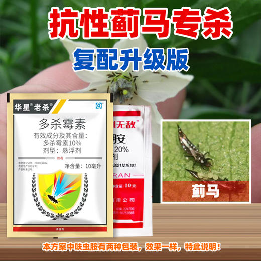 蓟马专杀方案 种植杀虫防治茄子蓟马专用杀虫剂组合农田农用 商品图2