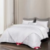 【江南古韵桑蚕长丝被】江南古韵蛋白小奶被 薄款蚕丝被 商品缩略图0