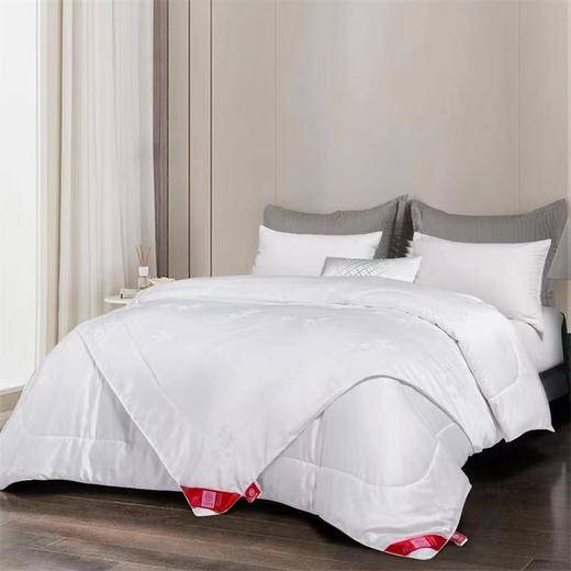 【江南古韵桑蚕长丝被】江南古韵蛋白小奶被 薄款蚕丝被 商品图0