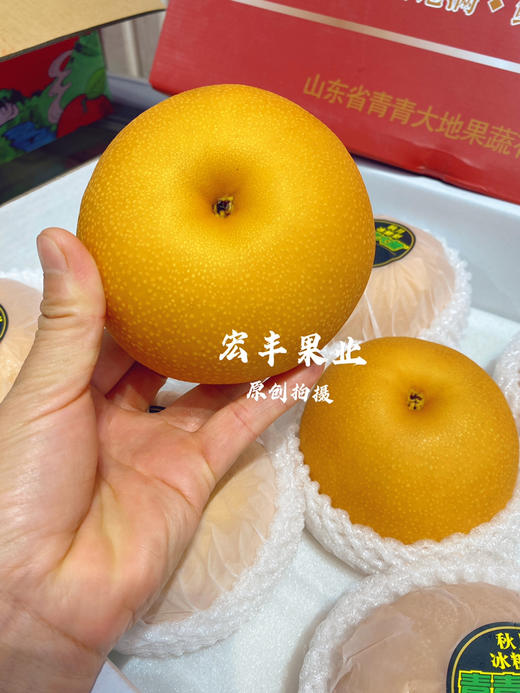 青青大地品牌秋月梨 口感嫩甜 商品图2