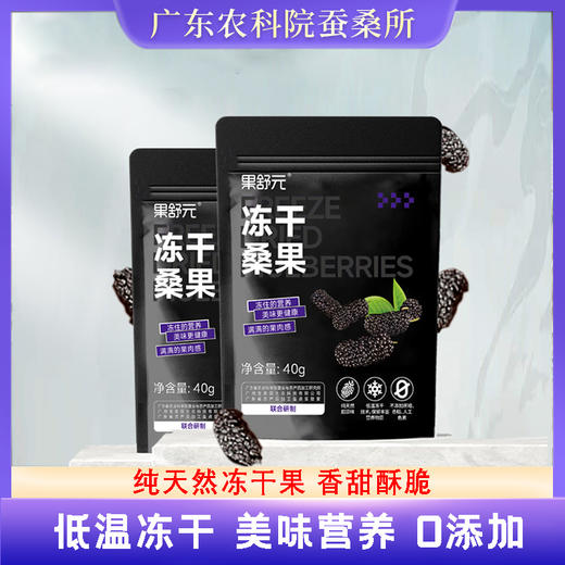 果舒元 原味桑葚冻干3袋（套装）  40g/袋*3袋 商品图1