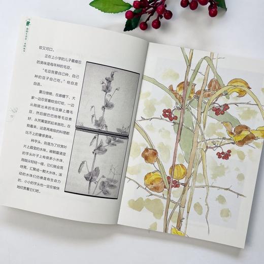 【9岁+】我的生活是一本图画书:岩村和朗随笔集 商品图4