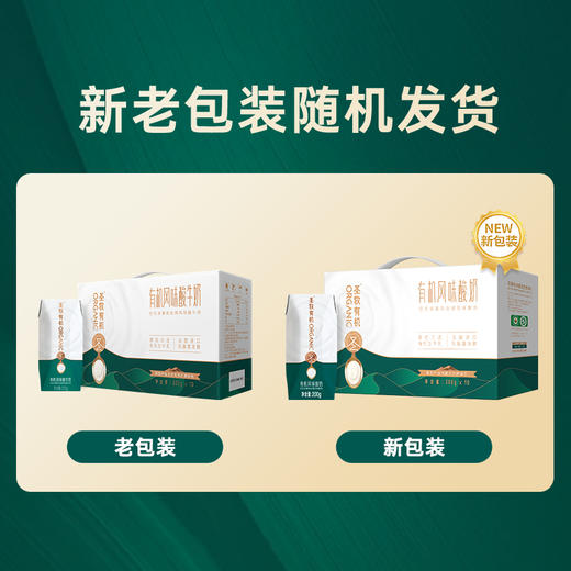 【满满心选】圣牧有机风味酸奶整箱学生早餐奶200g*10盒*2箱 商品图5