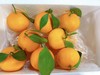 象山黄美人柑橘 被誉为树上长出来的“蜂蜜水” 果肉滑嫩 香甜爆汁 商品缩略图7