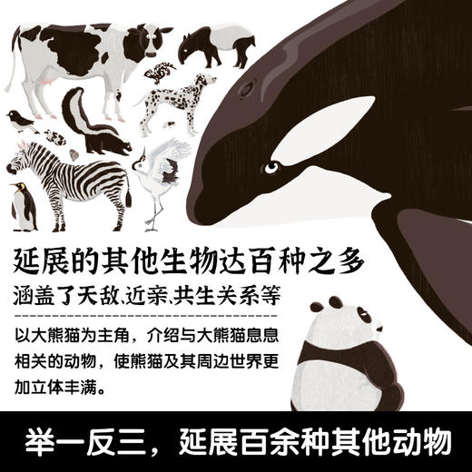 中国符号系列：东方有龙+大熊猫 商品图3