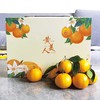 象山黄美人柑橘 被誉为树上长出来的“蜂蜜水” 果肉滑嫩 香甜爆汁 商品缩略图6
