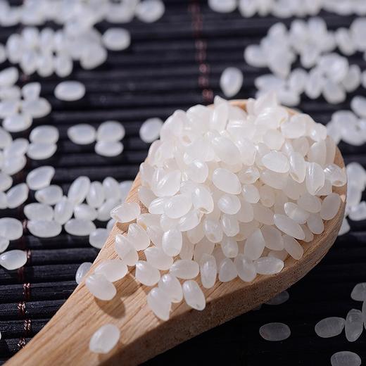 北大荒·大荒清泉东北寒地香米5Kg 商品图2