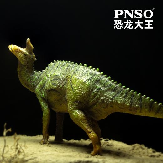 PNSO恐龙大王成长陪伴模型24青岛龙小琴 商品图4