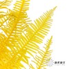 永生花材 | 芒其叶黄色 商品缩略图3