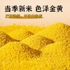 蒙清2.5kg黄小米非有机【新粮上市】 商品缩略图2