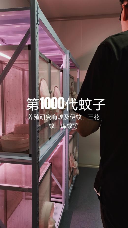 COKIT植气专研驱蚊防护系列！都是植物成分！孕婴可用！为了研究驱蚊，养了1000代蚊子子孙的大企业！！成分纯天然植物萃取 0毒！无驱蚊酯｜无避蚊胺｜无菊酯｜无派卡瑞丁 ，拒绝农药成分！ 商品图2