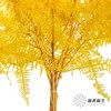 永生花材 | 芒其叶黄色 商品缩略图2
