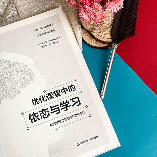 优化课堂中的依恋与学习 儿童教育 大脑神经可塑性带来的启示  心智 脑与教育译丛 商品图5