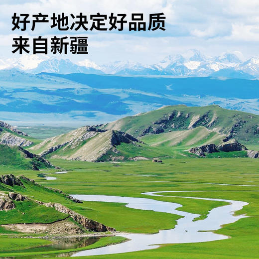 【99元任选3件】【正宗同仁堂品牌】北京同仁堂 青源堂 无花果干210克 拒绝熏硫 自然清香SY 商品图1