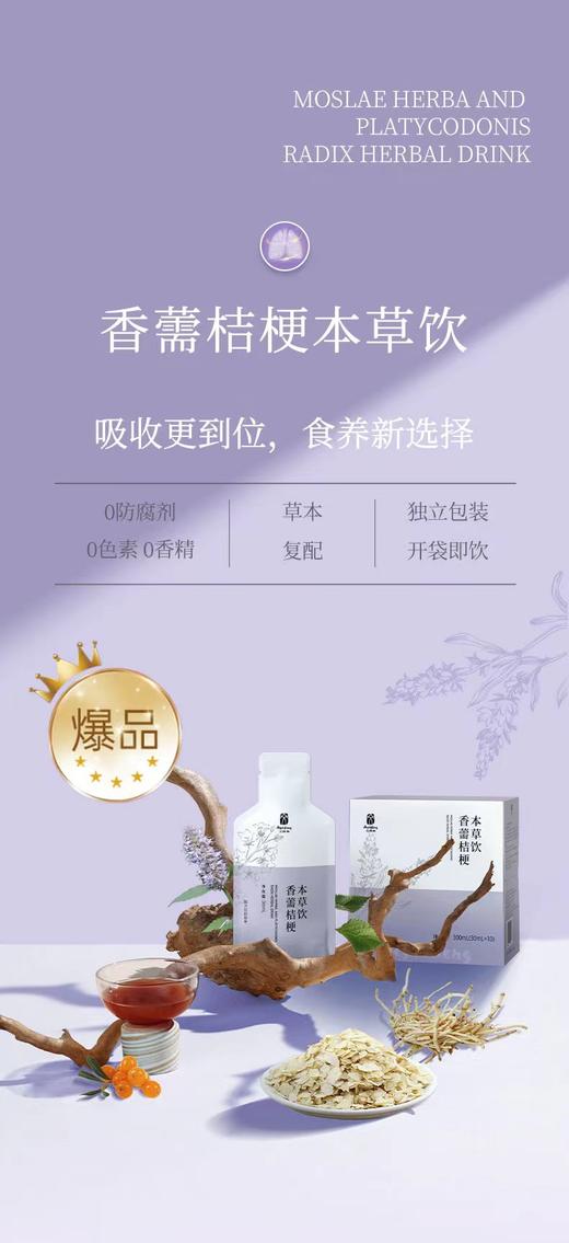 护肺 香薷桔梗本草饮 10支/盒 药食同源 无添加 商品图9