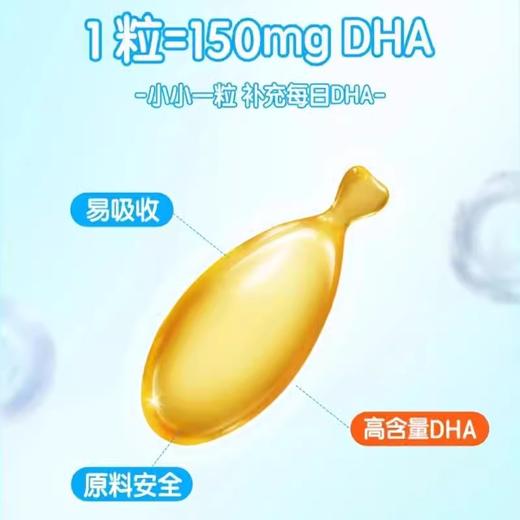 星鲨藻油DHA32粒/盒新西兰进口藻油DHA补大脑发育增记忆 商品图3