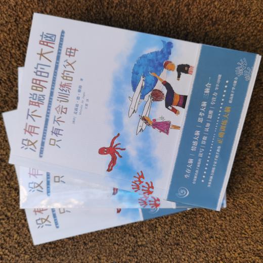 【连岳】没有不聪明的大脑，只有不会训练的父母 商品图2