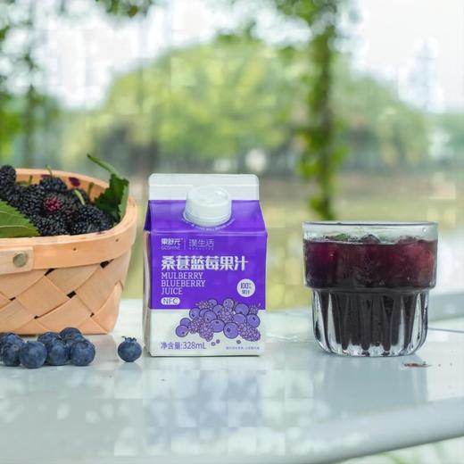 果舒元 100%桑葚蓝莓果汁  328ml*8盒/箱 商品图2
