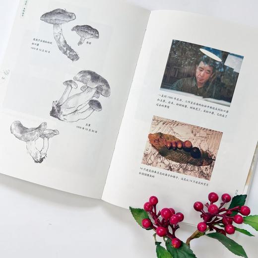 【9岁+】我的生活是一本图画书:岩村和朗随笔集 商品图6