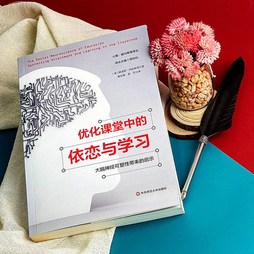 优化课堂中的依恋与学习 儿童教育 大脑神经可塑性带来的启示  心智 脑与教育译丛 商品图4