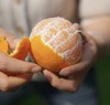 象山黄美人柑橘 被誉为树上长出来的“蜂蜜水” 果肉滑嫩 香甜爆汁 商品缩略图2