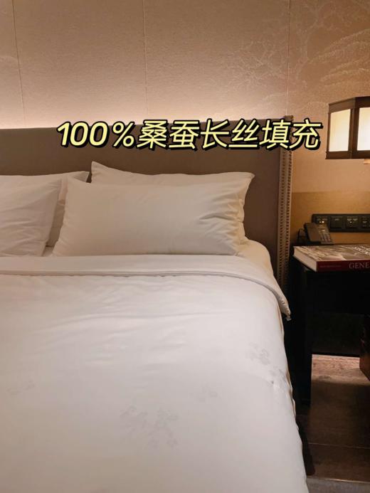 【江南古韵桑蚕长丝被】江南古韵蛋白小奶被 薄款蚕丝被 商品图4