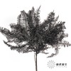 永生花材 ｜ 芒其叶黑色 商品缩略图0