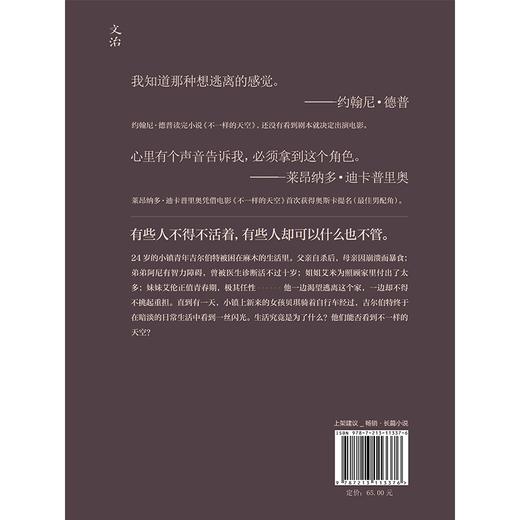 【磨铁】不一样的天空 (美) 彼得·赫奇斯著, 何雨珈译著 商品图5