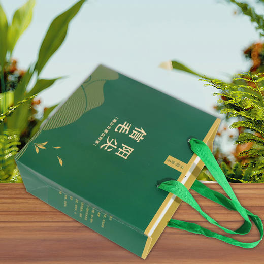 开园頭采【绿.半斤毛尖手提袋】1元1条.整捆50个.300个包邮 商品图2