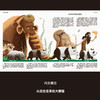 中国符号系列：东方有龙+大熊猫 商品缩略图9