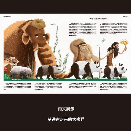 中国符号系列：东方有龙+大熊猫 商品图9