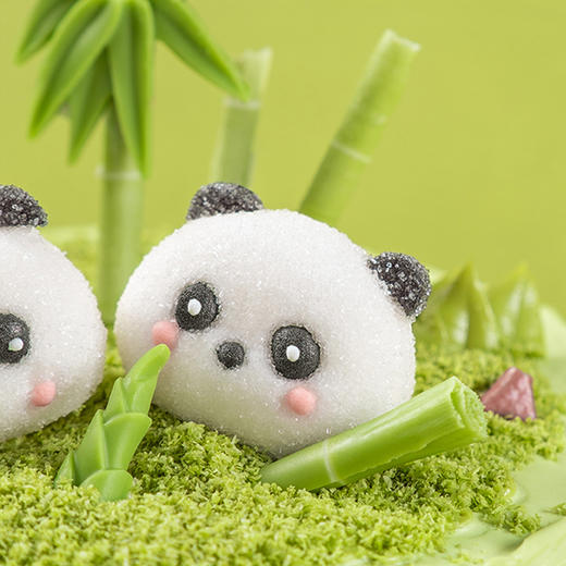 熊猫宝宝·开心果金煌芒蛋糕 | 旋木烘焙 商品图2