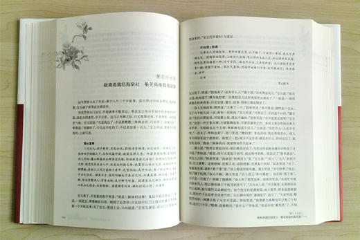 红楼梦 曹雪芹温皓然百回本 商品图3