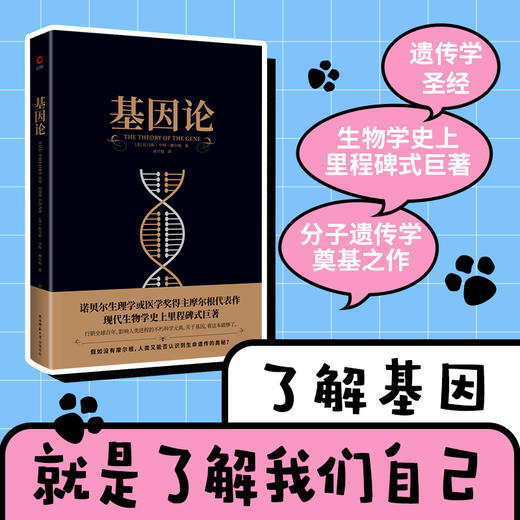 基因论 商品图2
