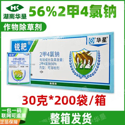 锐耙二甲四氯钠2甲4氯钠除草剂水稻小麦园林草坪阔叶杂草专用农药 商品图2