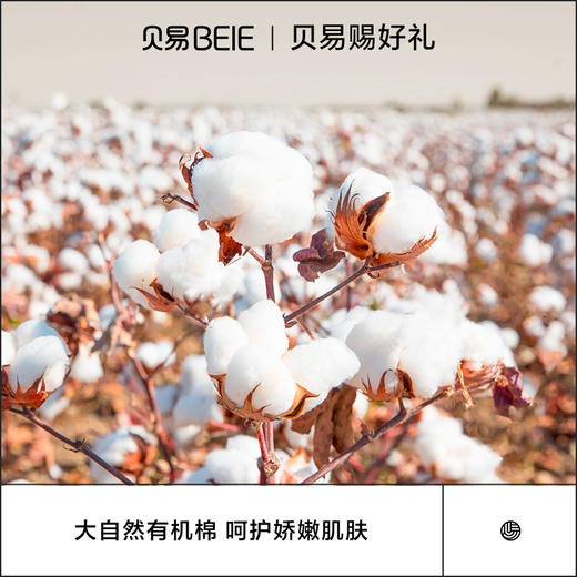 【配件】贝易百变布垫布套宝宝爬爬垫家用加厚婴儿童爬行垫无毒无味可折叠 商品图4