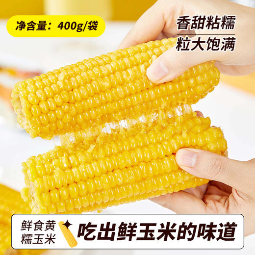 邻家饭香 东北鲜食黄糯玉米 200g/穗 2穗/袋 黑土地黄金玉米带种植LJFX24-Y 商品图1