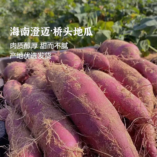 鲜悦 海南桥头地瓜5斤/9斤 沙地富硒板栗薯红薯香薯 蜂蜜地瓜 桥头地瓜 48小时发货 商品图0