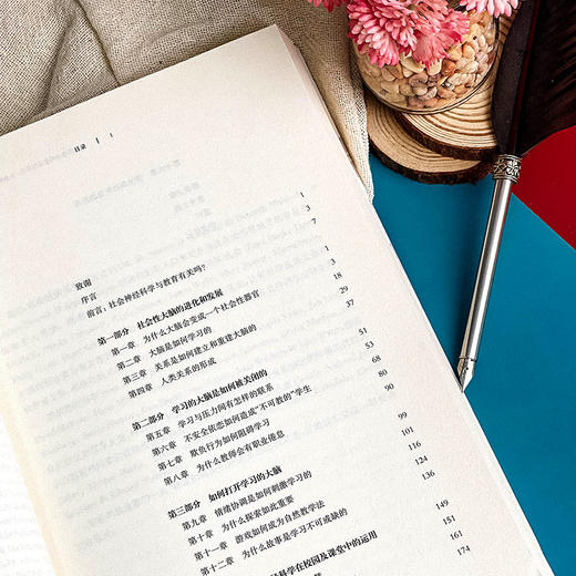 优化课堂中的依恋与学习 儿童教育 大脑神经可塑性带来的启示  心智 脑与教育译丛 商品图6