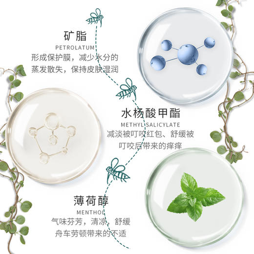 卡瓦库德（KAVAGOOD）泰国进口薄荷舒缓膏 蚊虫叮咬痒烫伤扭伤升级款 13g*1瓶   10194 商品图4