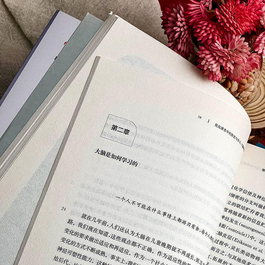 优化课堂中的依恋与学习 儿童教育 大脑神经可塑性带来的启示  心智 脑与教育译丛 商品图7