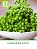 鲜冻青花椒350克 商品缩略图0