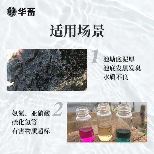 华畜20%改底净10kg 净化水质 改底除臭 氧化有害物质 1桶可用100亩 商品图2