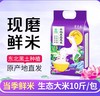 「当季鲜米！10斤装」掌中禾 寒地生态大米3斤10斤东北大米年份新米现磨粮油米面 商品缩略图0