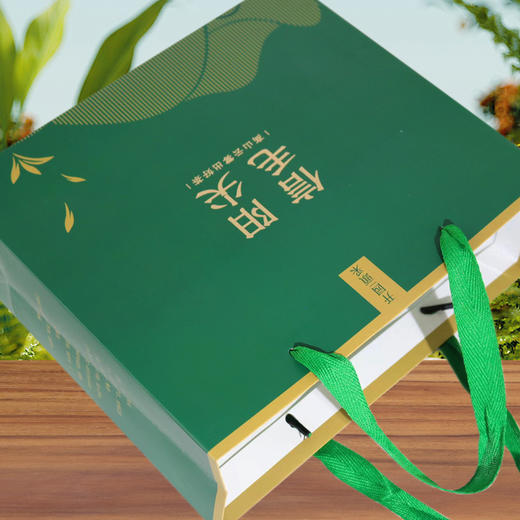 开园頭采【绿.1斤毛尖手提袋】1.2元1条.整捆50个.300个包邮 商品图3