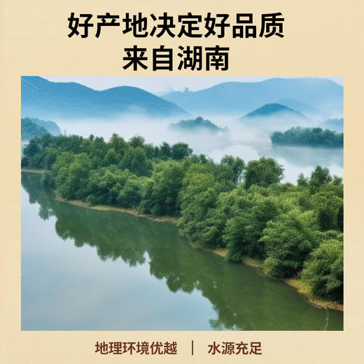 【正宗同仁堂品牌】北京同仁堂 青源堂 黄精250克 安徽甄选 肉质饱满 拒绝熏硫SY 商品图5